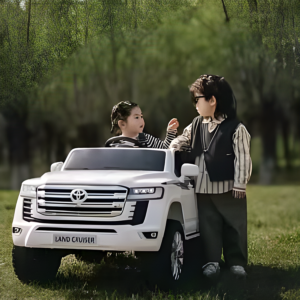 Toyota Land Cruiser 4x4 Bijeli